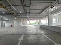 Ct Foodnex (D25), Factory #504741791